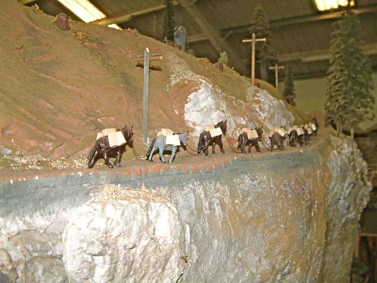 Pack Train