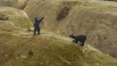 Bear scene at Long Tunnel by Anyd Olson