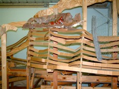Zenith S. Mtn webbing, Dec 2004 - 4