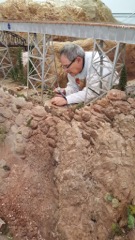 Jeff Heller adding trees, Diablo bridge area, 16Nov15 - 1